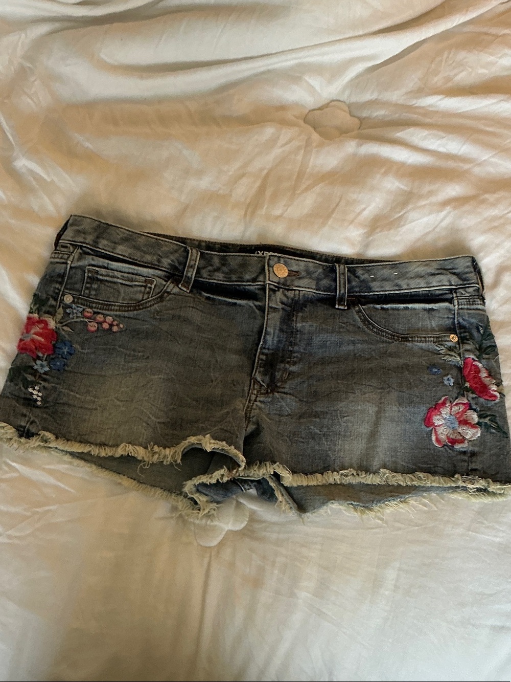 Beautiful Express Floral Embroidered Frayed Denim Shorts - Blue with Red Accent